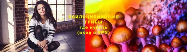 дживик Пестово