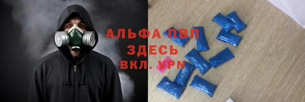 ПСИЛОЦИБИНОВЫЕ ГРИБЫ Семилуки