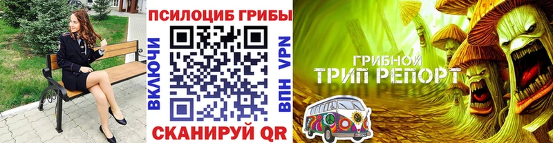 Псилоцибиновые грибы Magic Shrooms  kraken ONION  Славянск-на-Кубани  купить  сайты 