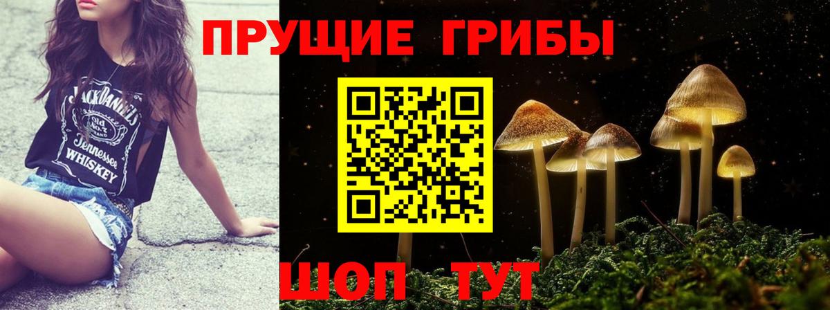 хочу   Вход с VPN  Славянск-на-Кубани  Псилоцибиновые грибы мицелий  Галлюциногенные грибы ЛСД 